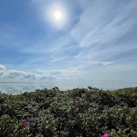 4 Person In Ringkobing-by Traum Ringkøbing