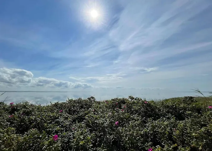 4 Person In Ringkobing-by Traum Ringkøbing